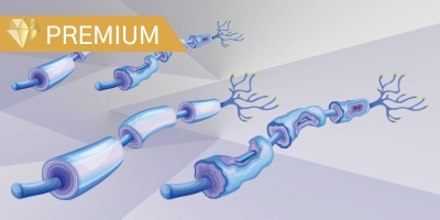 Best Practices in Nursing Management of Chemotherapy-Induced Peripheral Neuropathy