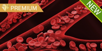 ISTH’s Take on Hemophilia Prophylaxis: An Exploration of the Guidelines